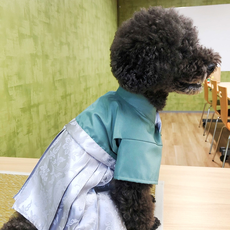 男の子青磁色イメージ