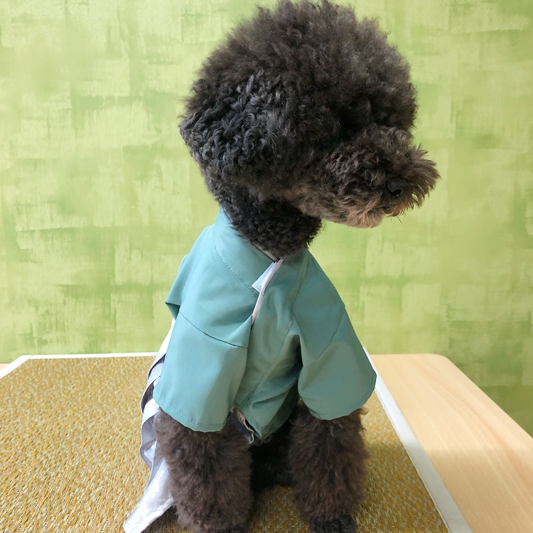 男の子青磁色イメージ