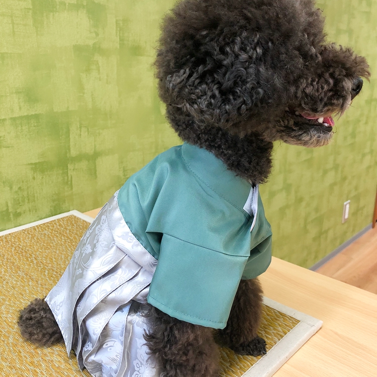 男の子青磁色イメージ