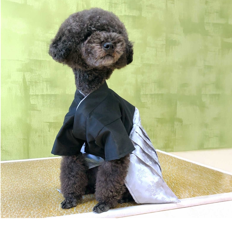 男の子墨色イメージ