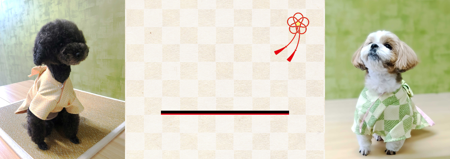 ポわんイメージ