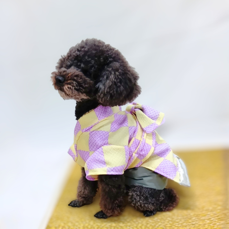 女の子市松柄イメージ