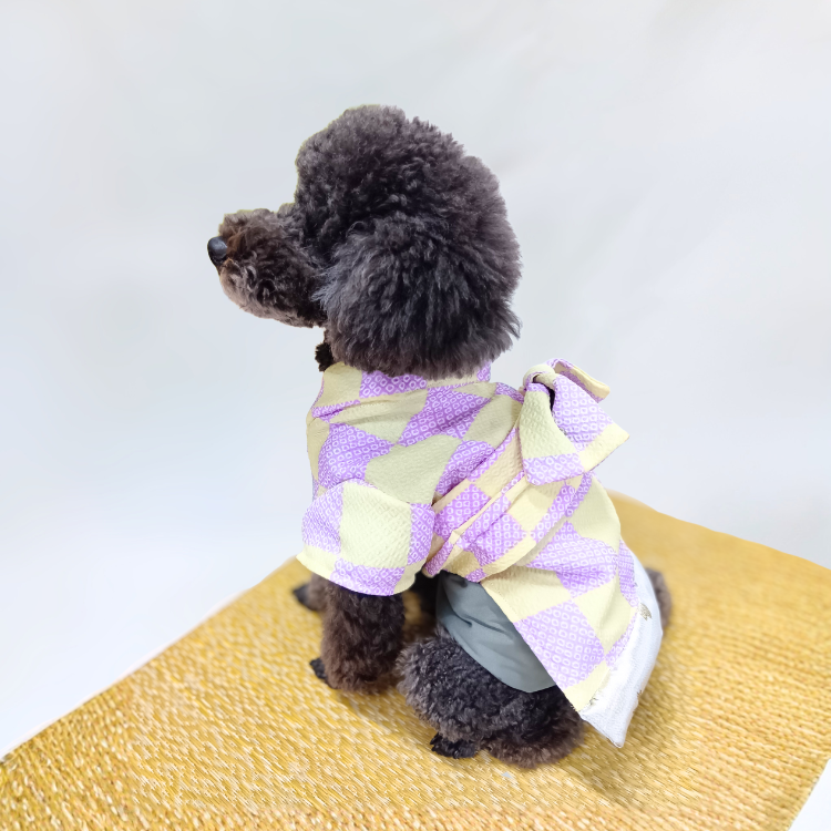 女の子市松柄イメージ