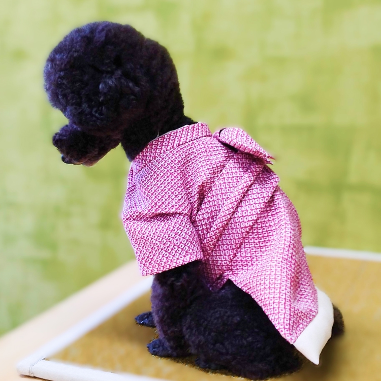 女の子鹿の子柄イメージ