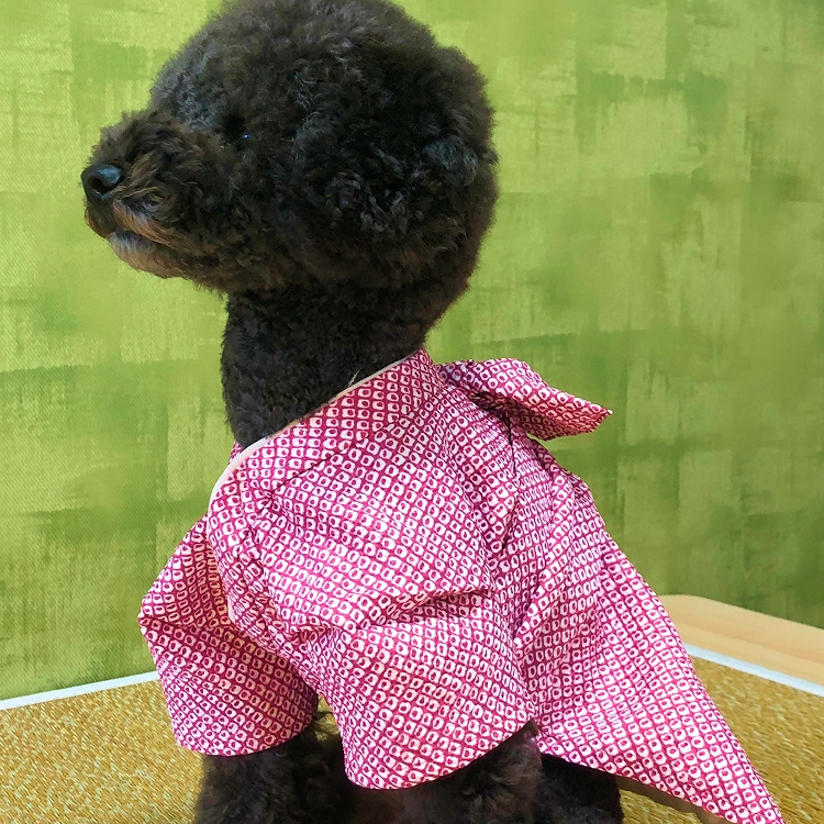 女の子鹿の子柄イメージ