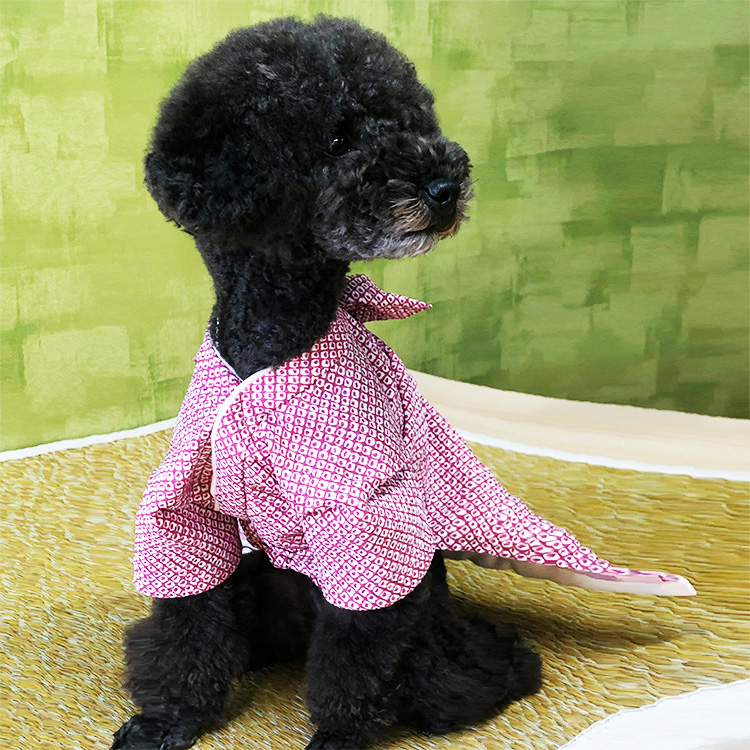 女の子鹿の子柄イメージ