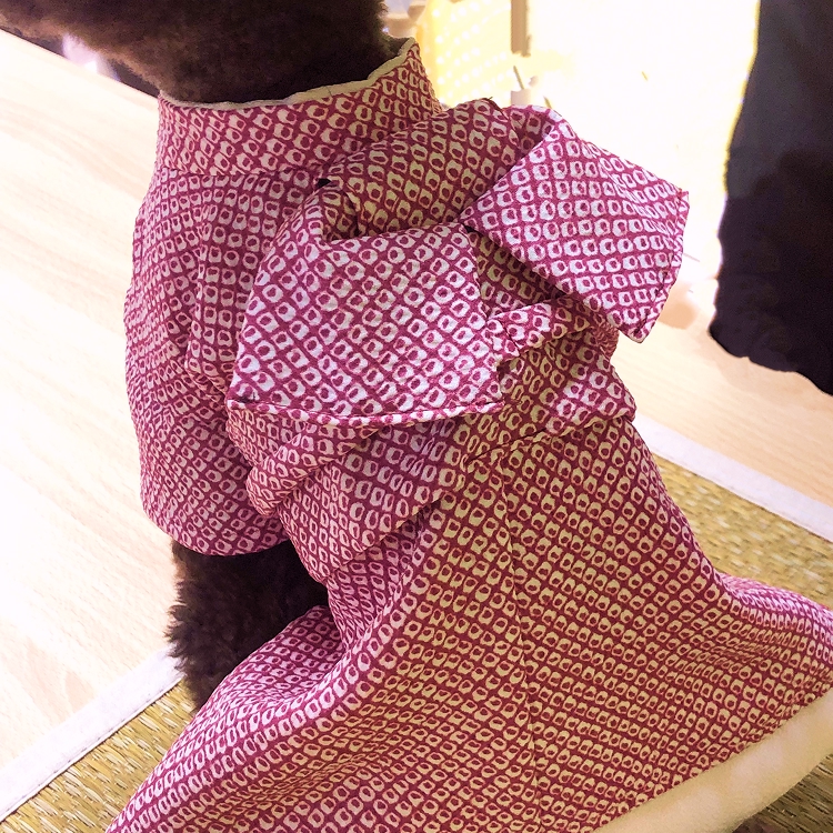 女の子鹿の子柄イメージ