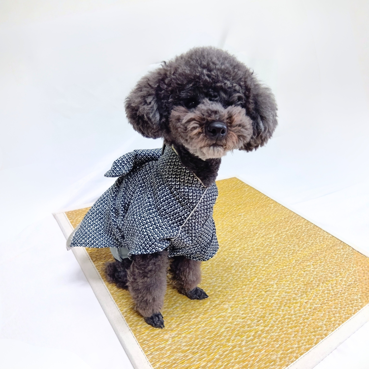 女の子鹿の子柄イメージ