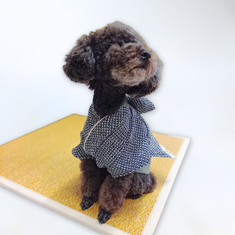 女の子鹿の子柄イメージ