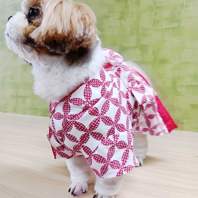 女の子七宝柄イメージジ