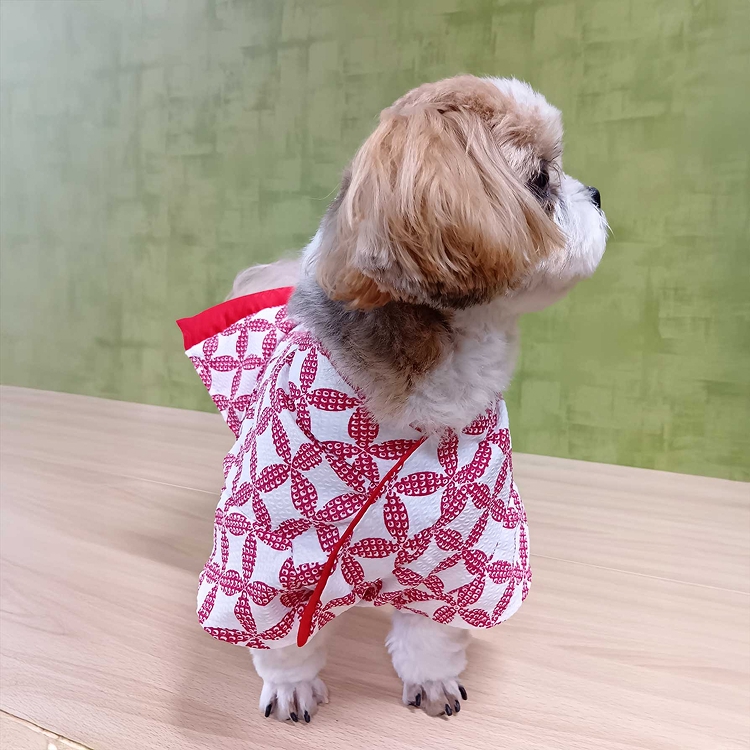 女の子七宝柄イメージ